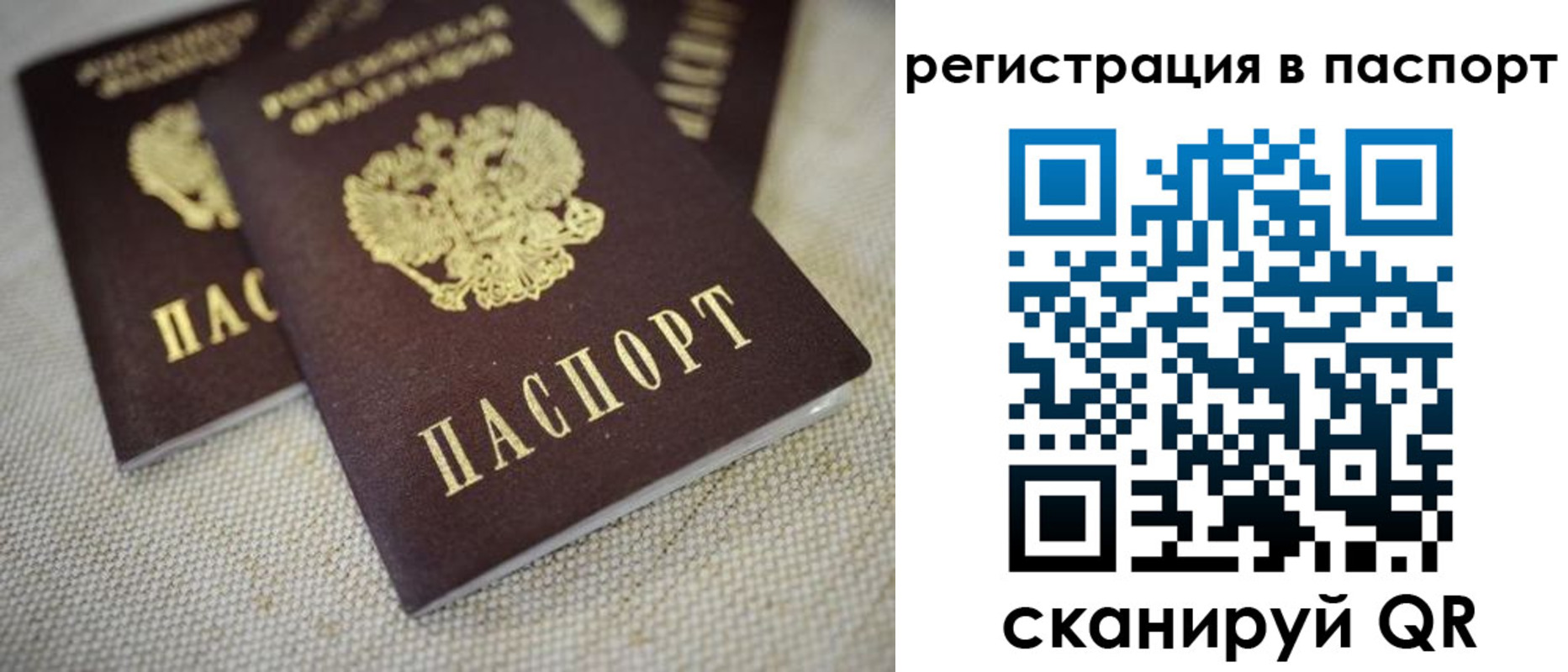 прописка гарантия в Талдоме
